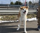 あなただけの東北旅行のベストなプランを作ります 東北6県を実際に巡った本人が最高の旅をご提案します！ イメージ8