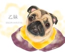 大切なペットの似顔絵・成長記録描きます ふと目に入るたびに「やっぱり大好き」って思える一枚に イメージ5
