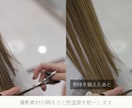 美容室・サロン向け上品なリール動画を作ります 構成から整え、上品な世界観を15秒にします イメージ2