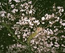 あなたの味方になります ひとりじゃないことを、何度でも イメージ1