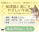 低価格！おしゃれバナー作成いたします 修正5回無料・納期7日以内・全サイズ対応 イメージ3