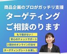 新商品のターゲット設定のご相談に乗ります 商品開発のプロがターゲティングのやり方・コツを実践的に支援！ イメージ1