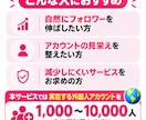 インスタの外国人フォロワーを1000人増やします 【先着100名様限定】特別価格でご提供中！ イメージ4