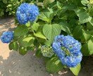 元キャバ嬢元美容師の私がなんでもお話し聞きます たっぷり1ヶ月♪貴方様に寄り添います♡男性も女性もオッケー♡ イメージ8