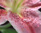 なんでも質問、愚痴、悩みをききます 見えない世界と見える世界からのお手伝い。 イメージ1