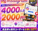 Instagramの外国人フォロワー増やします 15~25%の低減少率|高品質ユーザー|人数増加支援| イメージ3