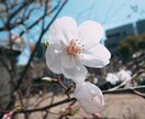 他の方に言えない事何でも聴きます 介護の事、仕事の事、いじめの事、家族の事何でも話してみては。 イメージ1