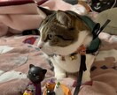 秘密厳守で貴方の話相手になります とにかく話したい、愚痴りたい、伺います！ イメージ4