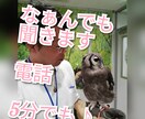5分でもお話聞きます。心をスーっとさせます 知り合いに言えないことを吐き出して心をスーっとさせませんか？ イメージ1