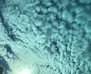 あちこちに出かけて撮影した写真を提供します 自然、動物、遊びが大好きです私が出逢った景色を観て下さい イメージ2