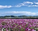 その思い聞かせてください。ゆっくり聞きます 誰かに聞いてほしい気持ち。あなたのペースで。 イメージ1