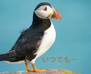 どん底経験シングルマザー　どんな悩みも受け止めます 少しだけお話してみませんか？今より何かが変わるかもしれないよ イメージ8