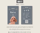 ペット写真名刺｜犬猫などうちの子名刺制作します スマホ撮影OK! 色と書体が選べるセミオーダー100枚送料込 イメージ10