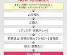 15,000円〜低価格でチラシを制作します 修正回数無制限！丁寧に対応します！ イメージ2