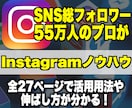 SNSのプロがガチのインスタのノウハウを教えます フォロワー55万人のプロによるInstagramノウハウ イメージ1