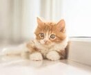 あなたを否定せず、ただ静かに話を聞きます 不安・愚痴・寂しさ、途中で切っても大丈夫です イメージ6