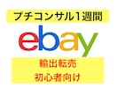 ebay輸出 ミニコンサル経験0でもサポートします ebay初心者向け！登録,リサーチ,出品,顧客対応相談可能！ イメージ1