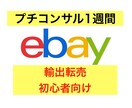 ebay輸出 ミニコンサル経験0でもサポートします ebay初心者向け！登録,リサーチ,出品,顧客対応相談可能！ イメージ1