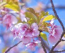 季節にあった写真 撮っていきます 100分の1しか撮れない写真を撮る イメージ1