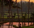 バリ島の朝の風景写真を売ります パワースポット【ゴアガジャ】近くの田園風景の朝をお届け イメージ8