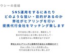 SNS運用代行探しを手伝います SNS運用代行者と運用依頼者をマッチング致します イメージ3