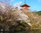 一眼レフで撮影した風景画等を提供します 女子大生が撮った高画質写真をお届けします！ イメージ1