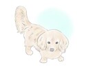 柔らかいテイストのペットイラストをお描きします ふんわり優しいタッチで可愛いイラストに仕上げます イメージ5