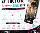 Tik Tokショートをスピード制作します TikTokショート動画を最短・高品質でスピード制作します イメージ1