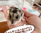 POP作ります 商品POPやイベントのチラシ、代わりにお作りします！ イメージ2