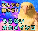30分西洋占星術で質問に答えます 30分聞きホーダイ！延長可！！メッセージで即レス イメージ1