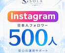 インスタの日本人フォロワーを500人増やします 日本人500人｜投稿とプロフィールの信頼感を支援 イメージ1