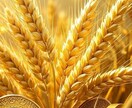 金脈を塞ぐ魂のブロックを霊視で解き豊かさ解放します あなたの魂を豊かさの波動に整え、お金の流れを変る イメージ6