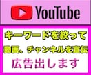 国内指定可⭐️YouTube広告で登録者獲得します 有資格者の広告運用で本物のチャンネル登録者、視聴者獲得します イメージ1