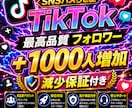 TikTokフォロワー1000人増やします 【最安値を維持】圧倒的な安さ×最高品質×最速対応‼ イメージ1