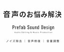 音声の整音、ノイズ除去致します 音声に関するどんなお悩みもご相談下さい！ イメージ1