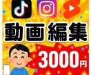 初心者向け◎ SNS縦型ショート動画を編集致します スマホ撮影OK！視聴維持率を意識した飽きない編集をご提供！ イメージ1