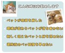 ３日間集中遠隔ヒーリングで大天使とペットを癒します ★大天使アリエル★ペットの元気が無い時の集中的なサポート イメージ2