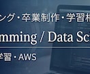博士課程講師が論文を本気で添削します 卒論・修論・論文を構造から添削します【最低2回添削】 イメージ2