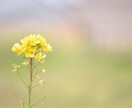 3日間！！貴方の心の寄り所になります もうー不安な気持ちにさせないですよ✾ イメージ1