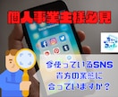 個人事業主様向けのSNS集客プランニングします 貴方の業務形態に合うSNSに的を絞り運用までフォローします イメージ1