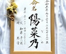 美しく気品のある毛筆手書き正統派命名書を制作します 初めてのプレゼントは一生物の命名書、迅速に丁寧にお書きします イメージ3