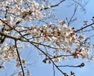 求人広告営業コンサル/売上アップの極意を教えます 大手求人広告会社で個人・組織ともに多数の受賞実績あり。 イメージ1