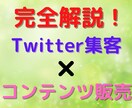 簡単！SNS集客×コンテンツ販売の方法を教えます ゼロスタートでできるコンテンツ販売のノウハウをご提供！ イメージ1
