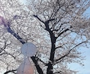 現役看護師があなたに寄り添った電話相談 いたします 現役ナースが寄り添った電話相談＊何でも安心して話して下さい イメージ1