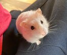 日々のモヤモヤを少しでも取り除きます 親や友人になかなか言えない気持ち、ここで吐き出しませんか？ イメージ4