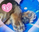 タロット占いで、恋愛、仕事、総合運を占います。悩みを抱えている皆様のお役にたちたいです。 イメージ1