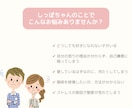 喜びも悲しみも。しっぽちゃんのお話しお聴きします しっぽちゃんとの暮らし、こころがほっとする時間をお届けします イメージ4