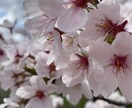 普段誰にも言えない相談、愚痴を聞きます ラフに相談したい方長い時間お話を聞いていただきたい方 イメージ1