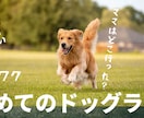 目の引くYouTubeのサムネイルを制作します 再生数を稼げるYouTubeサムネイルを作ります。 イメージ1