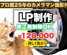 プロ歴25年の写真撮影付き★高品質LP制作します プロフォトグラファーとデザイナーの一気通貫で高品質LPを提供 イメージ1